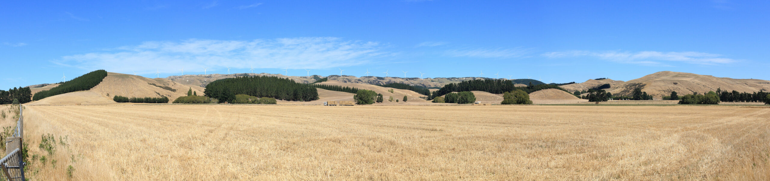 Mt Cass Wind Farm exploring next steps